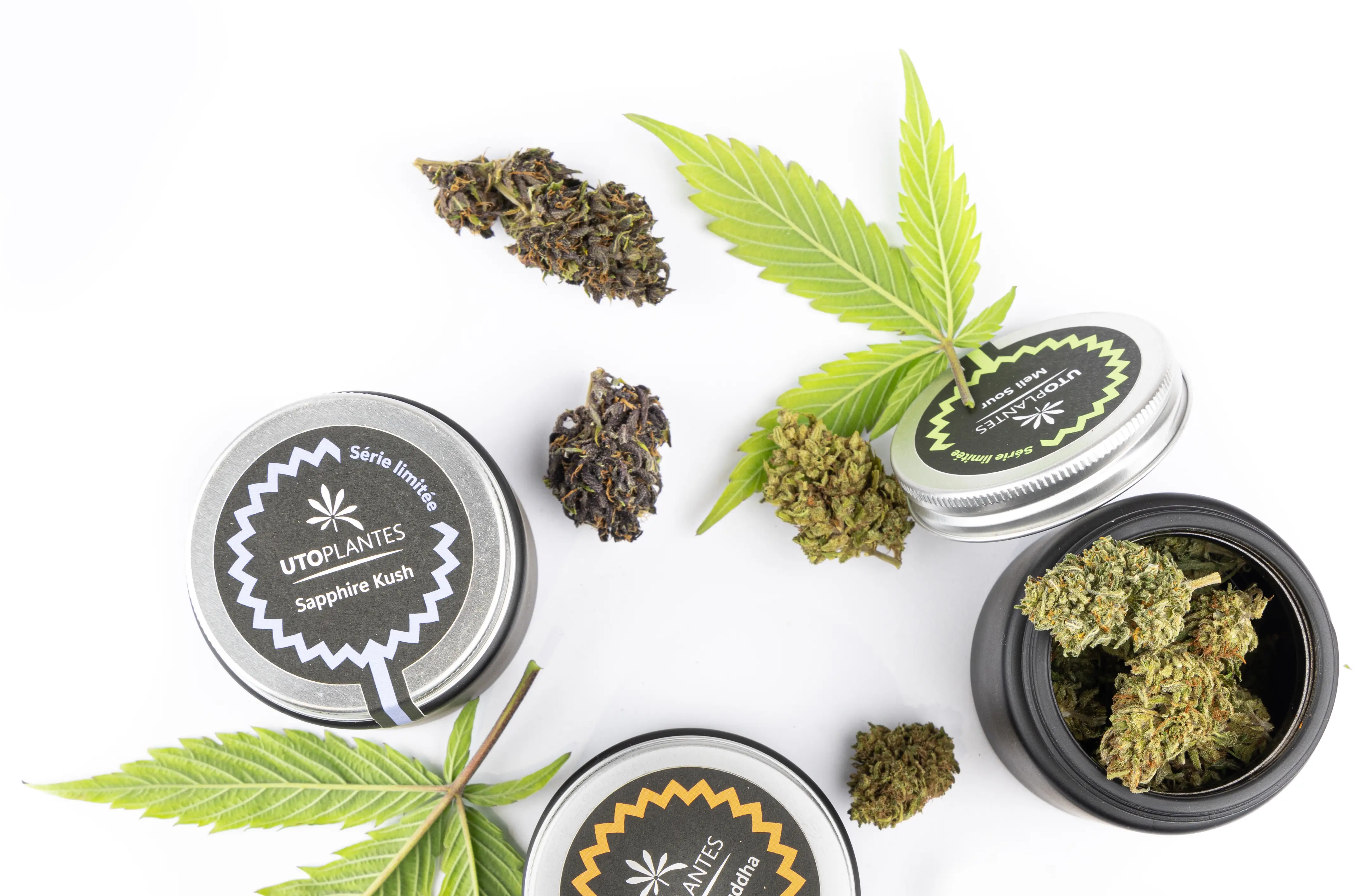 pots de fleurs de cannabis cbd utoplantes