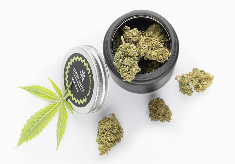 bocal de fleurs cbd tropicake